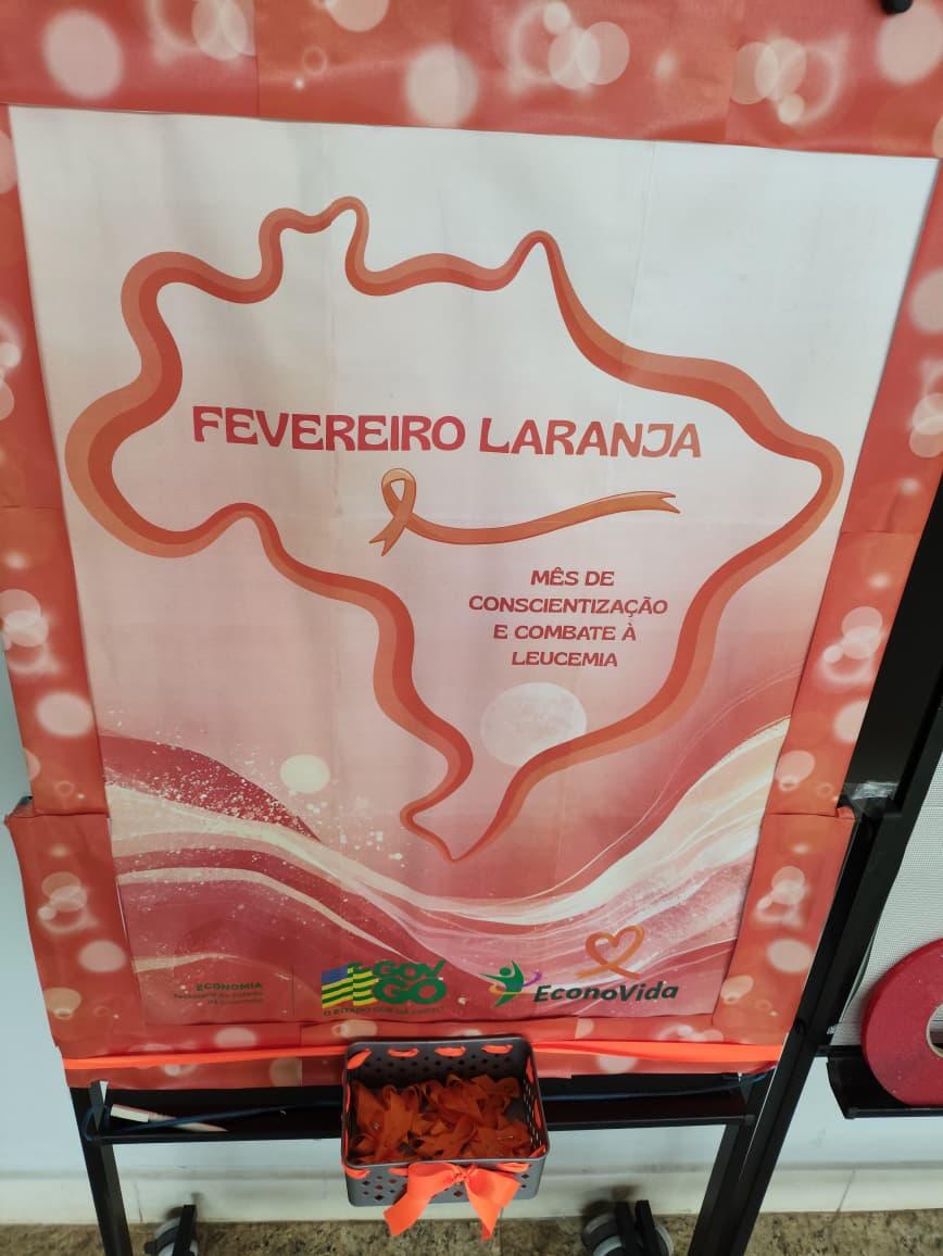 WhatsApp Image 2026-02-23 at 16.48.15.jpeg