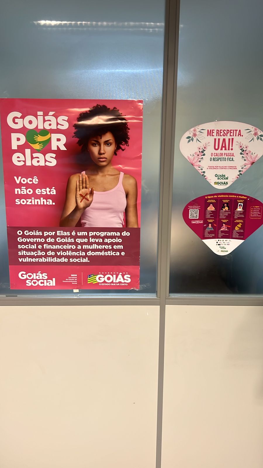 Goiás por Elas DRF Goiania.jpeg