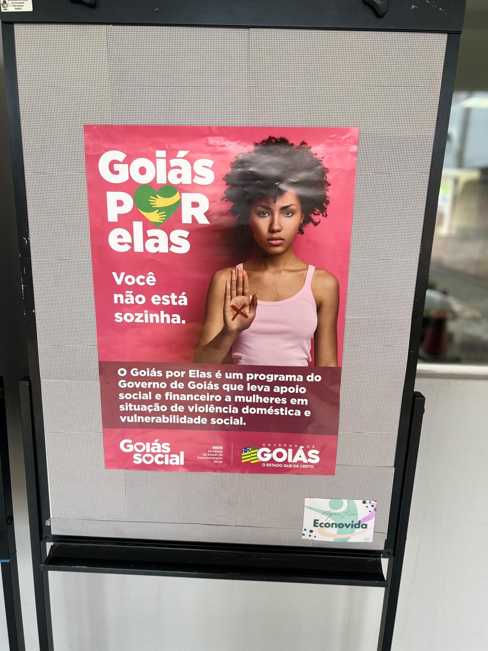 Mural Goiás por Elas.jpeg